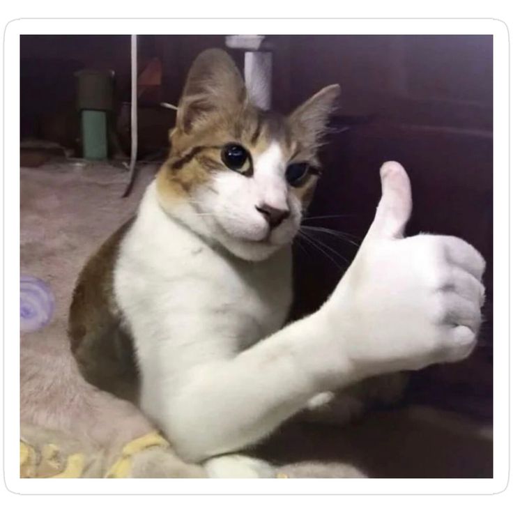 Maximum Carnage tweet media