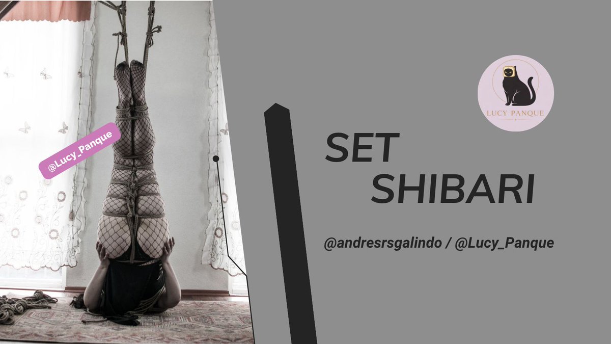 Gato_Panque tweet media