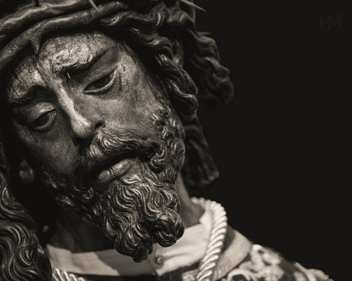 herranmurillo tweet media