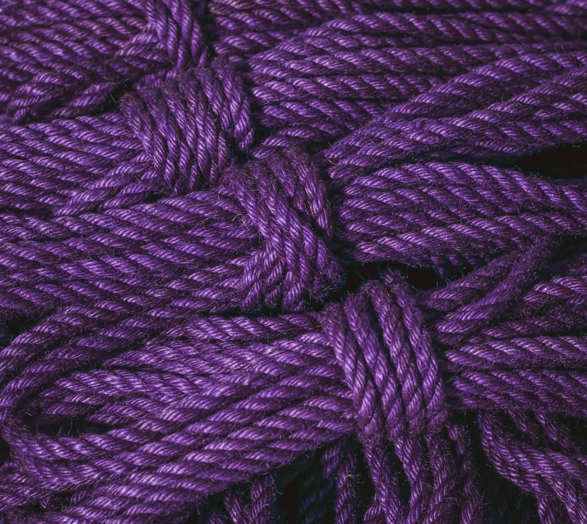 𝐇𝐨𝐝𝐠𝐞 tweet media