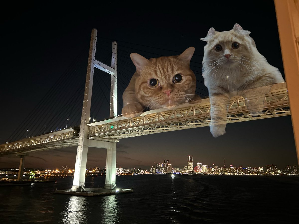 Just imagine, this is super viral in japan