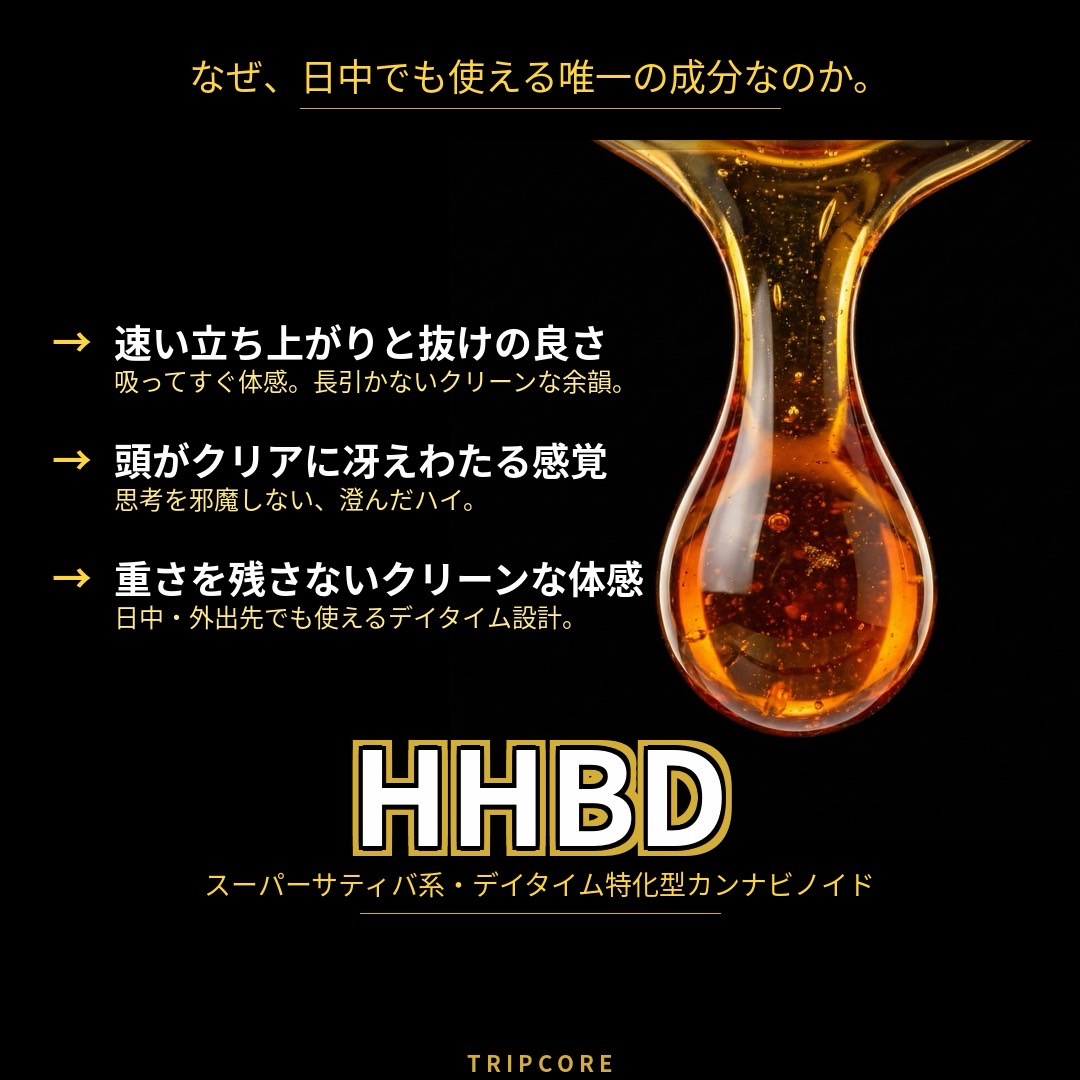 TripCore®︎公式 tweet media