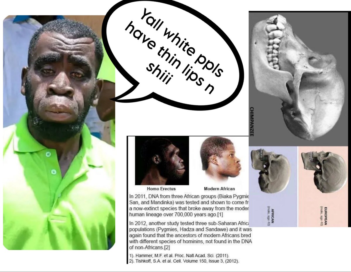 scandia98 tweet media