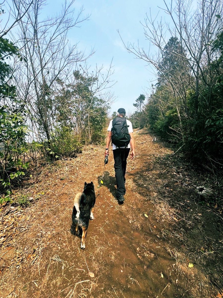 マークパンサー tweet media