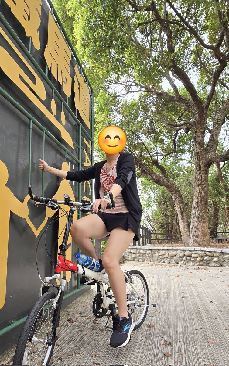 Y&P桃園夫妻 tweet media