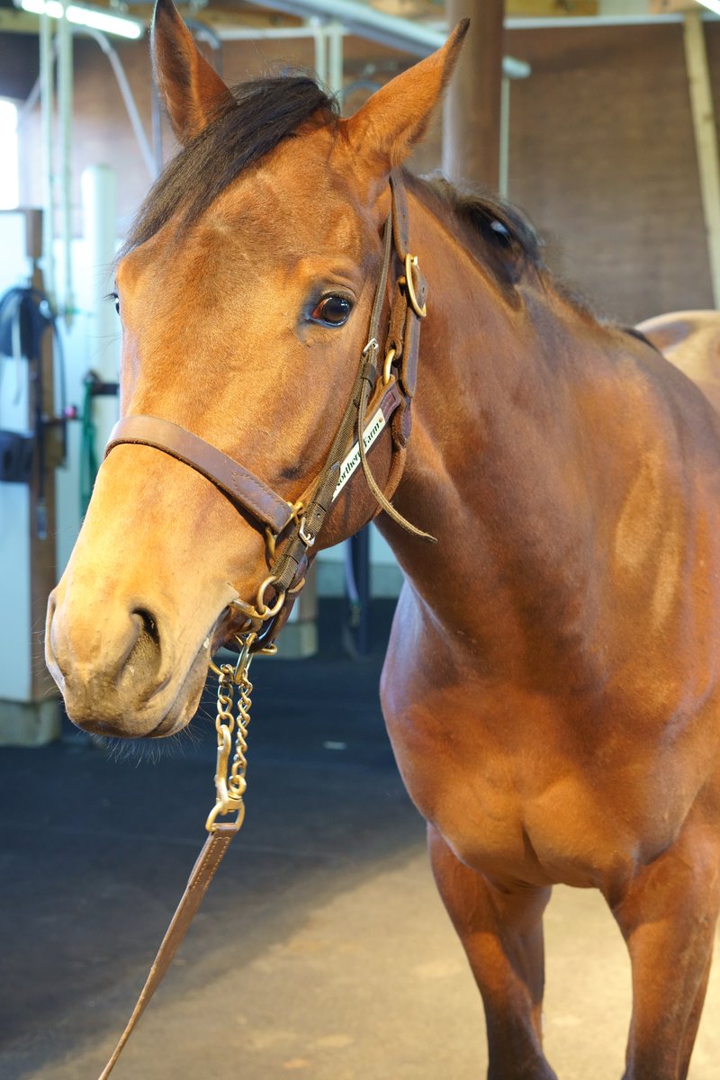 白とび黒つぶれ tweet media