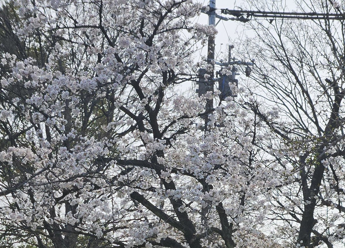 まり酒乱乙女界隈秘書🌈 tweet media