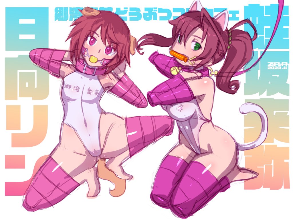 うちの来弥ちゃんのコスチュームは郷湾エロレオタード(非公式)だった 