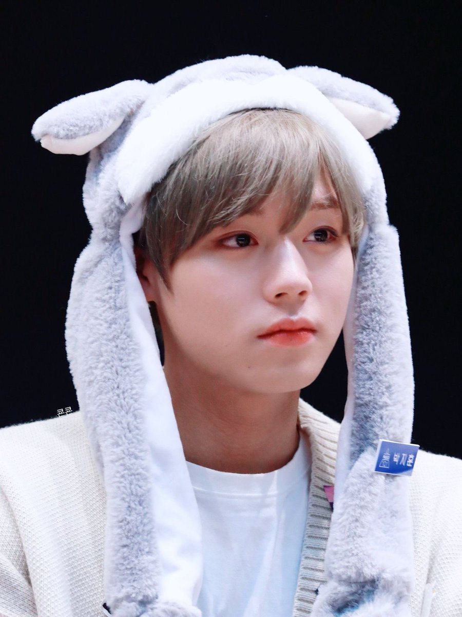 훈라에몽 tweet media