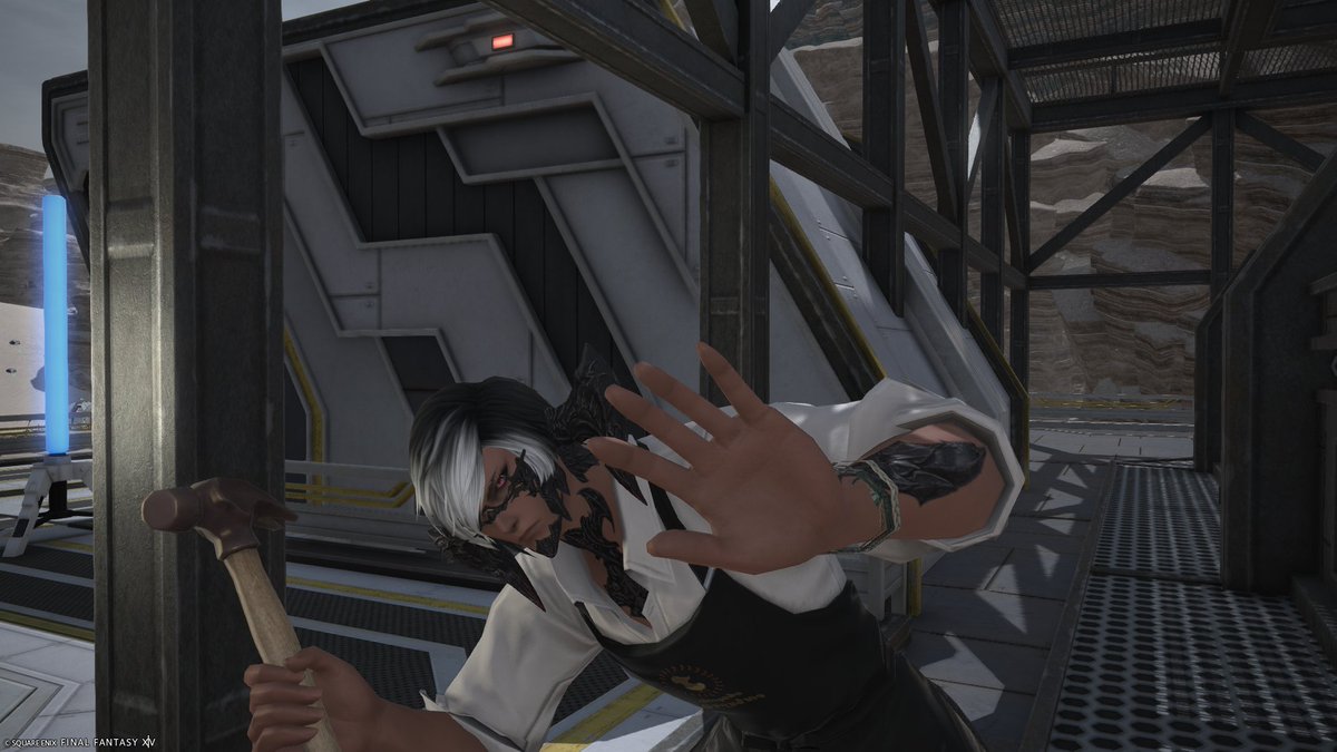 M.Macmillan tweet media