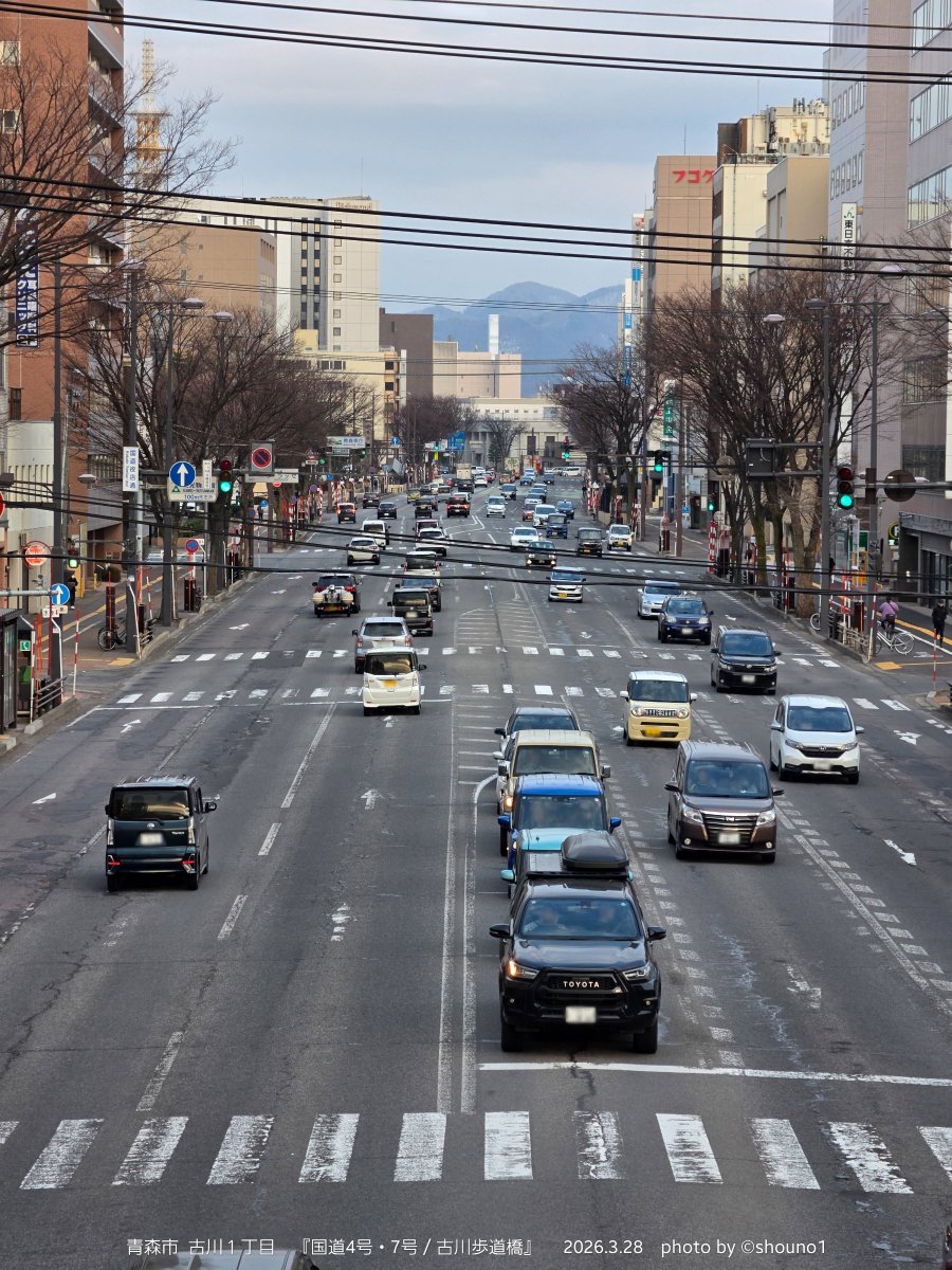 しょ－ tweet media