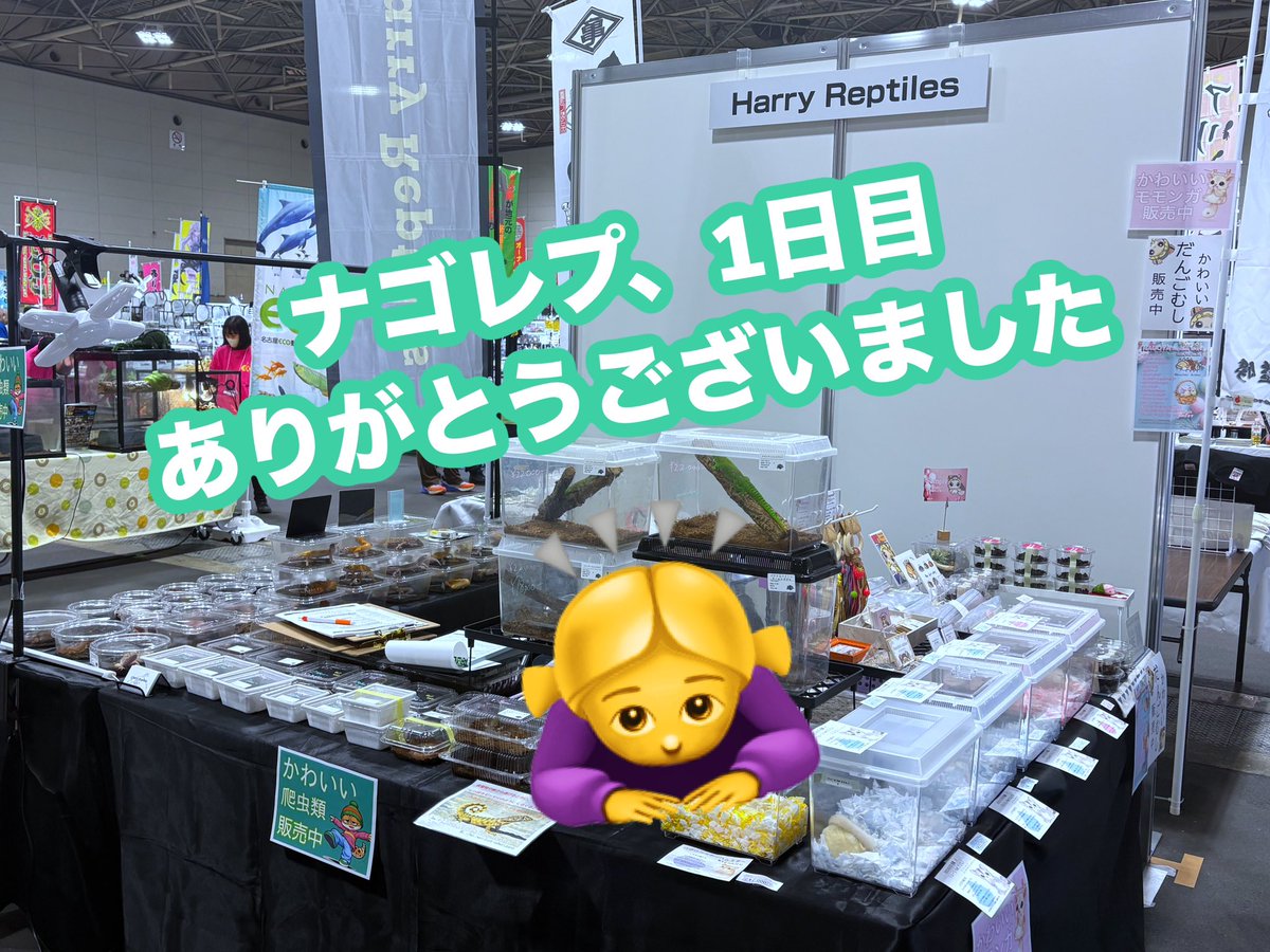 かれん@爬虫類とゲーム垢▶︎次回出展3/28.29 ナゴレプ tweet media