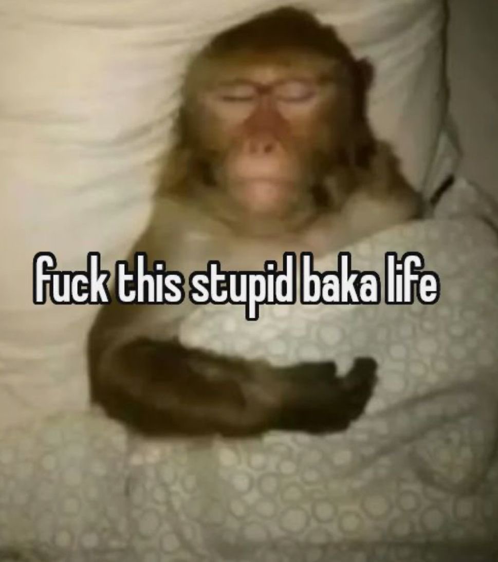 Cyee²⁷ tweet media