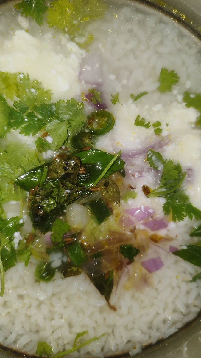 ItismitaCodes03's tweet image. East or West Our Odia #Pakhala is the Best 🫶🤤

@YUVSTRONG12 Paaji please try our Odia Food - Fan Girl 
#Odisha #Odia #fangirl #Pakhala