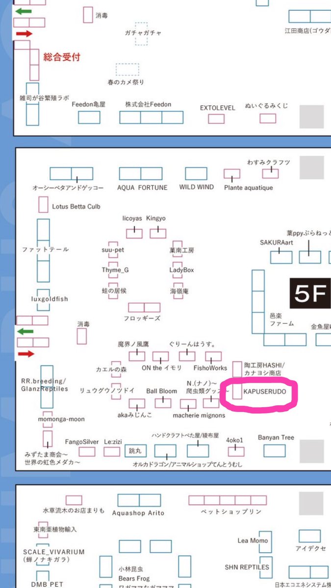 KAPUSERUDO(ぴいすけ) tweet media