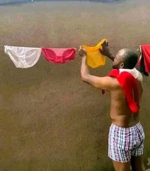 Sprinkle ✨ tweet media