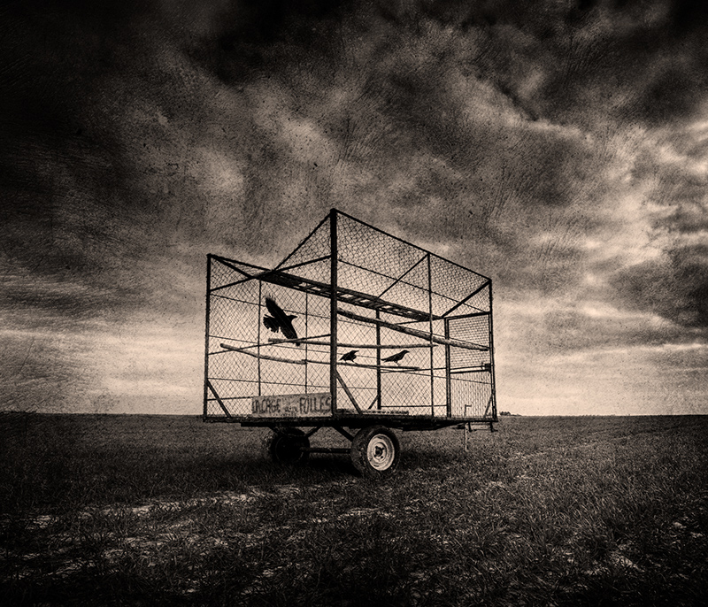 artlimitednet's tweet image. La Cage aux Folles 01 by Lionel Hug artlimited.net/lionelhug
#composition #field #blackwhite #blackandwhite #nature #digital #landscape #corbeaux #country #landscape_photography #champ #paysage #ciel #bw_life #cage #campagne #crows #landscape_hunter #irox_bw