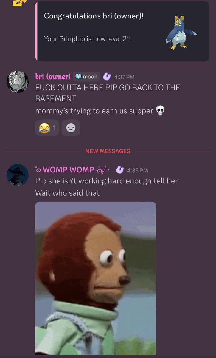 𑣲┆pink.exe ˚.⋆ֹ tweet media