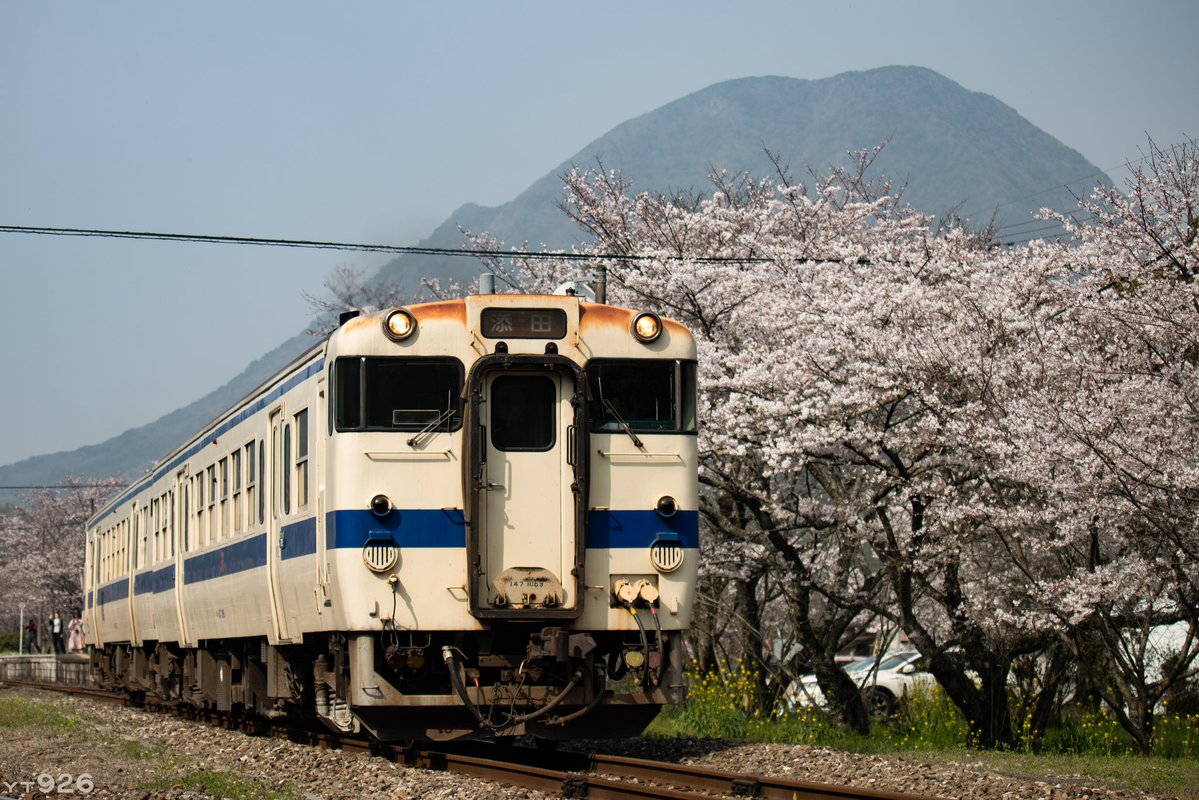 蔡昀軒🇯🇵 tweet media