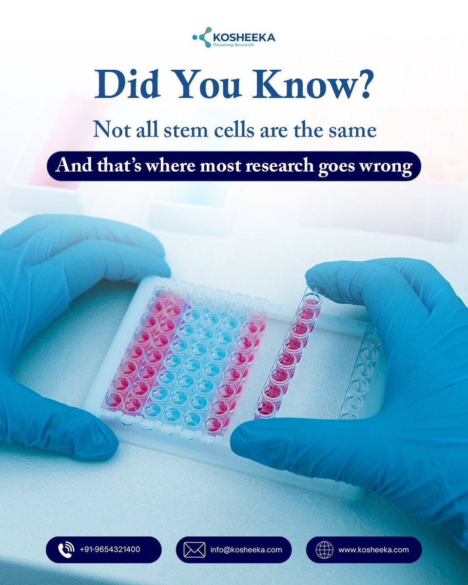 kosheeka tweet media