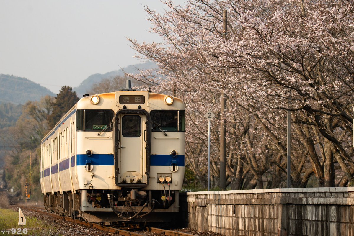 蔡昀軒🇯🇵 tweet media