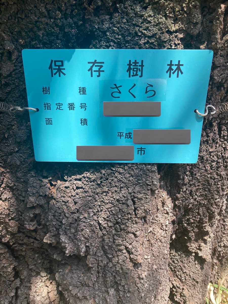 高桑伶 tweet media