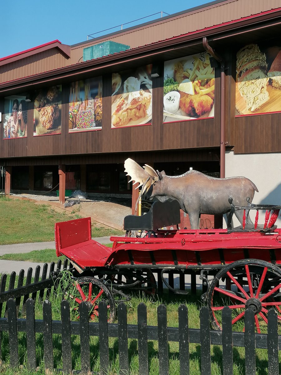 manuelima tweet media