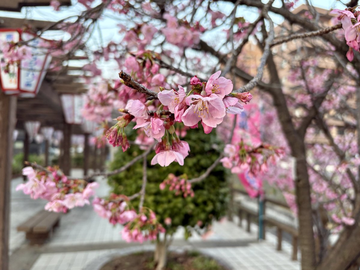 明石みほ|山口県在住 ライター・インタビュアー・広報PR tweet media