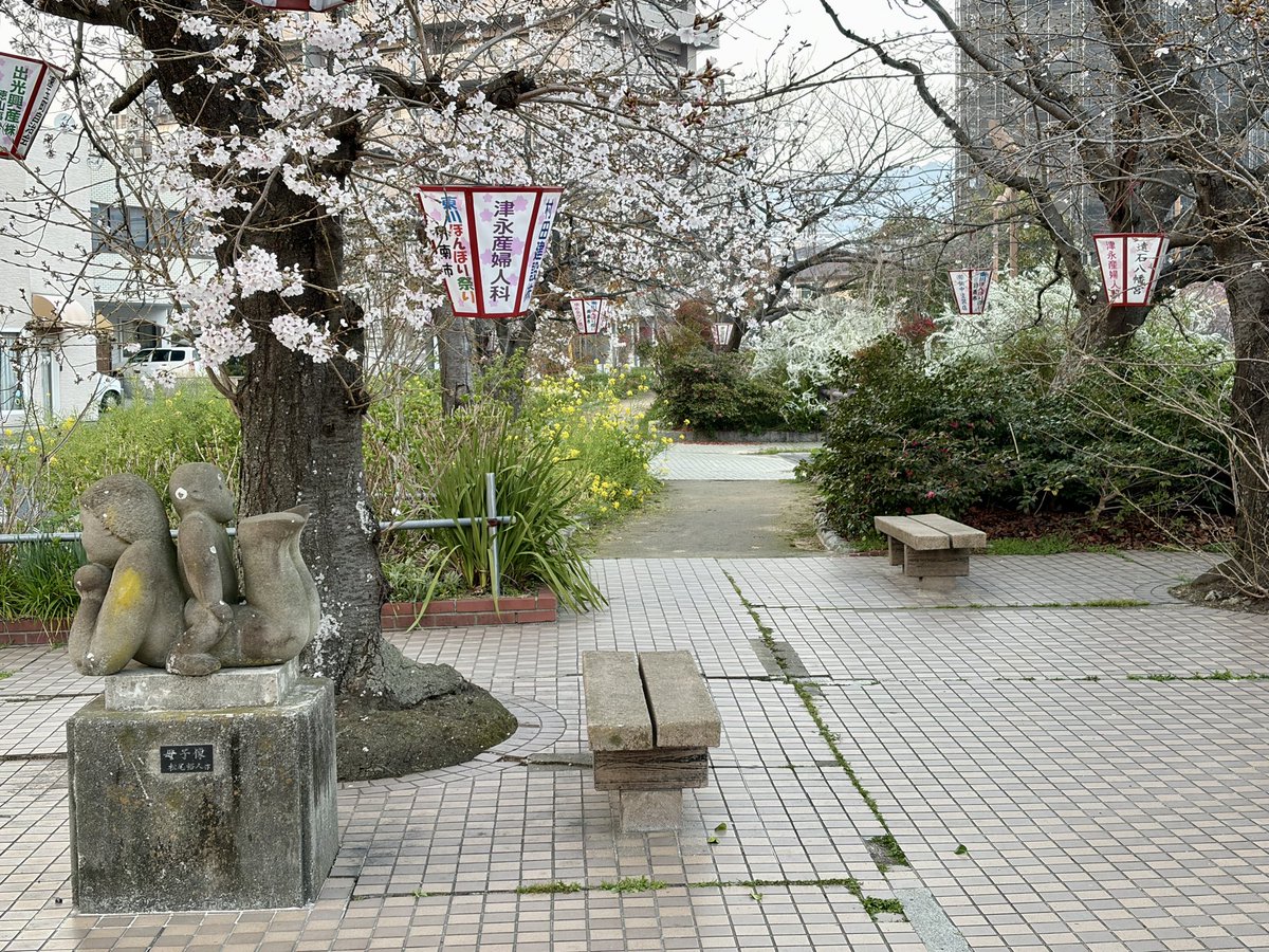 明石みほ|山口県在住 ライター・インタビュアー・広報PR tweet media