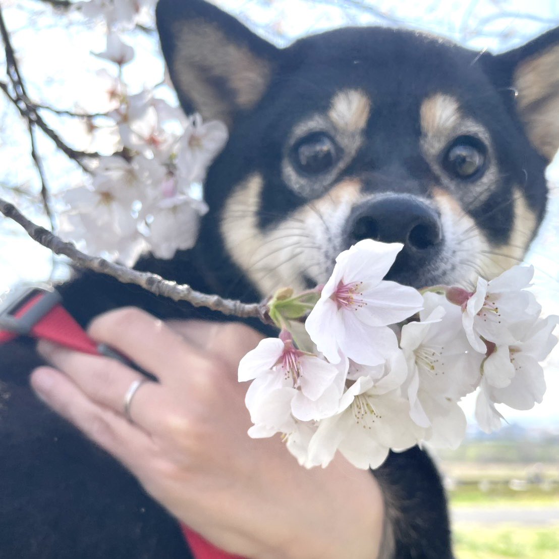 小林裕和 tweet media