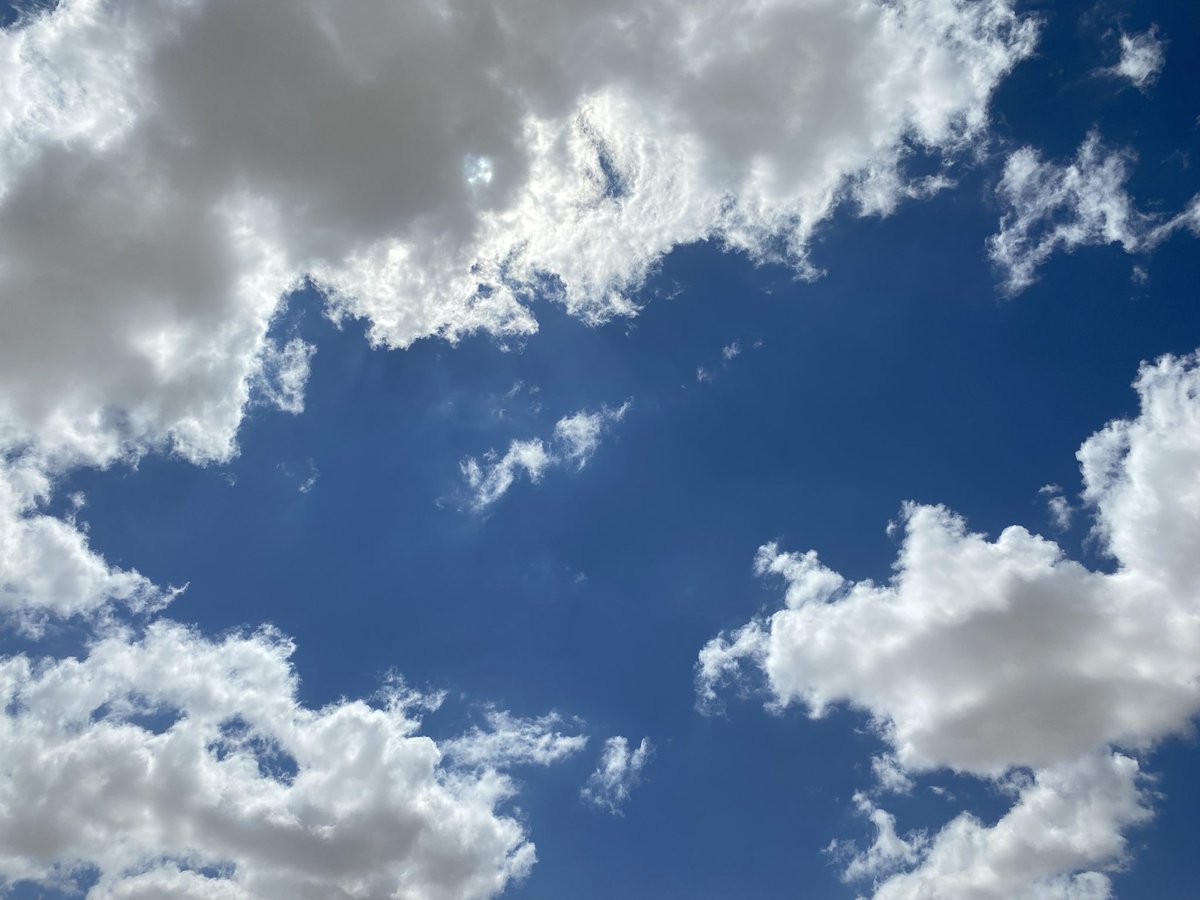 林森林 tweet media