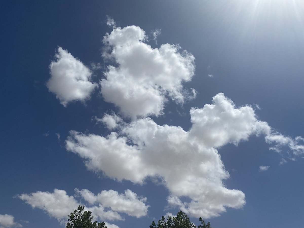 林森林 tweet media