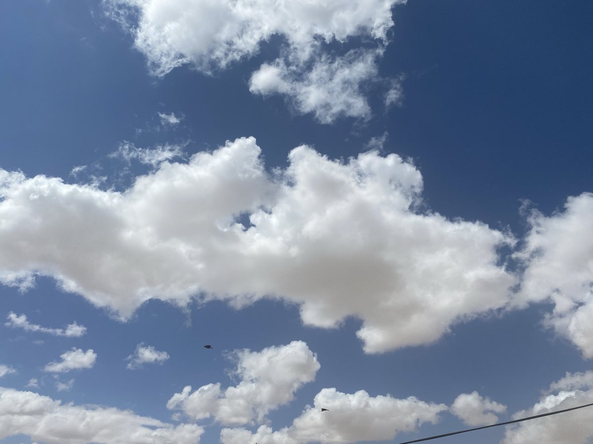 林森林 tweet media