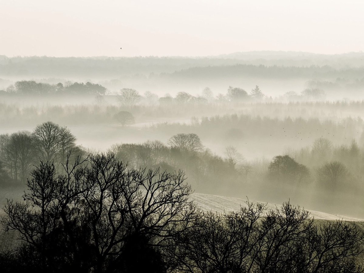 EXPLORING EARTH 🌍 tweet media