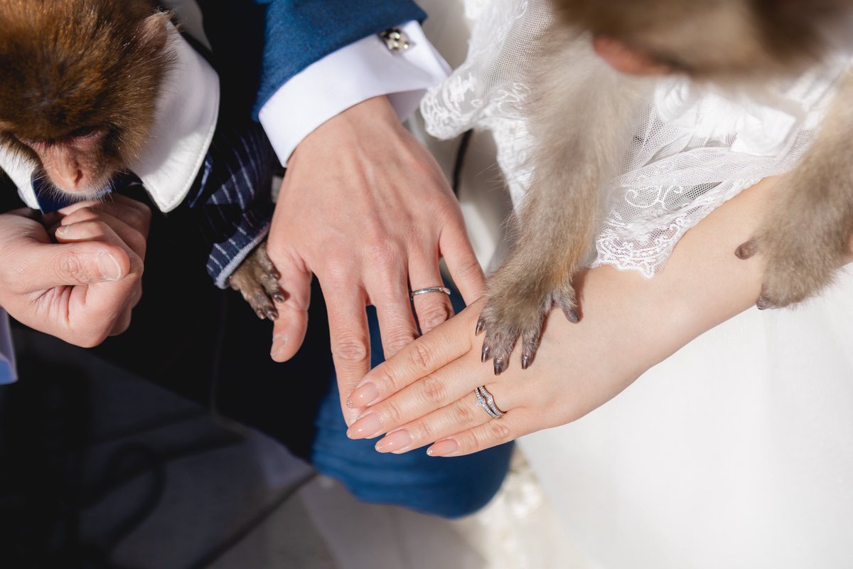 rsk_1614's tweet photo. モンタメに来ていただいた結婚式の前撮り✨
記憶にも記録にも残る夢のような時間でした！スタッフさんも虜にするかあるちゃん&amp;おしゃれだい坊ちゃん🙊 https://t.co/MhsCbizoBr