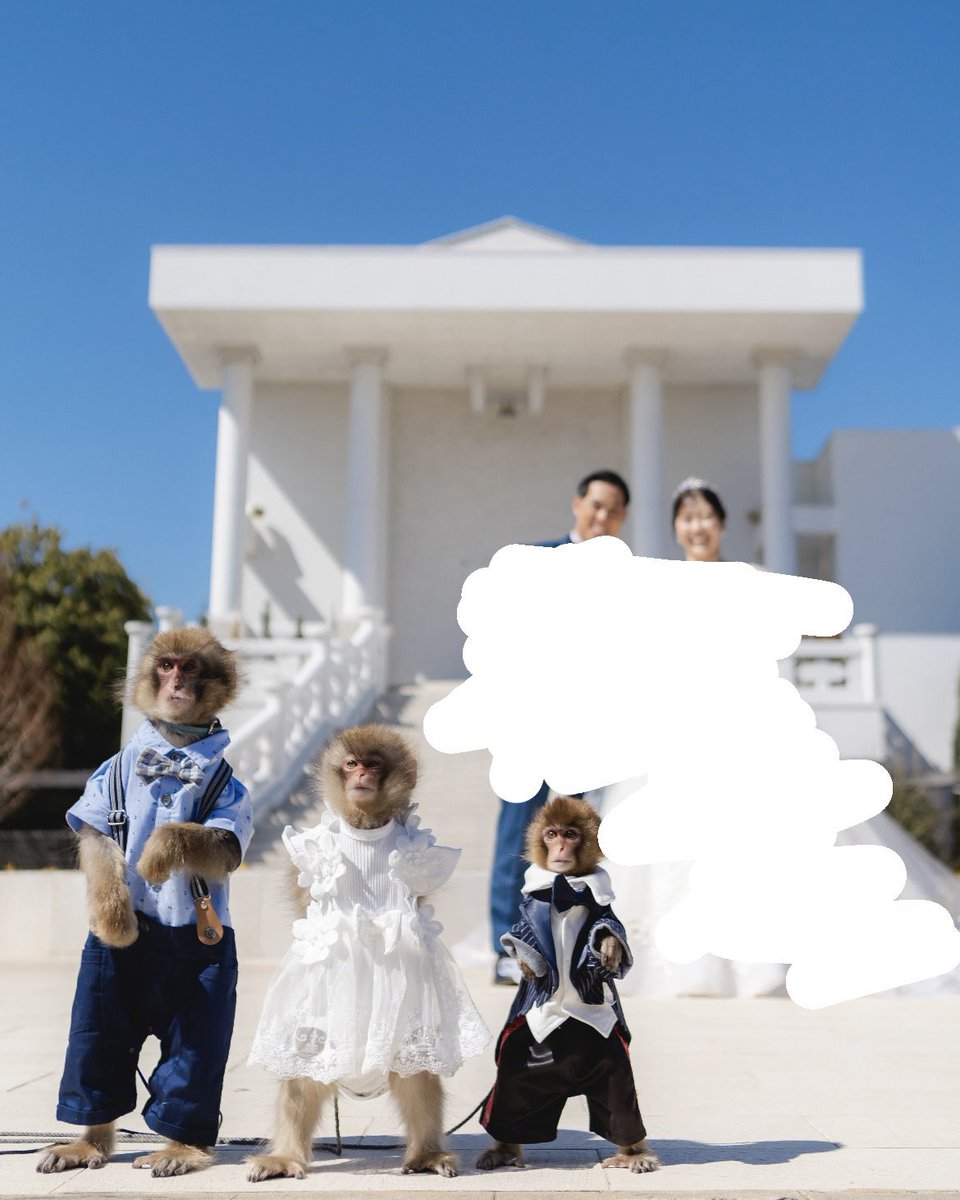 rsk_1614's tweet photo. モンタメに来ていただいた結婚式の前撮り✨
記憶にも記録にも残る夢のような時間でした！スタッフさんも虜にするかあるちゃん&amp;おしゃれだい坊ちゃん🙊 https://t.co/MhsCbizoBr