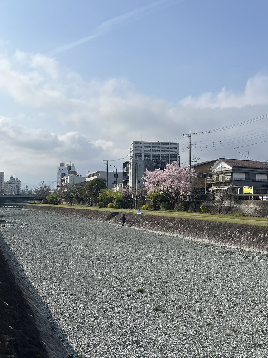 旅んちゅ| '26通訳案内士目標🚩🌏走る×旅する62カ国へ行った人 tweet media