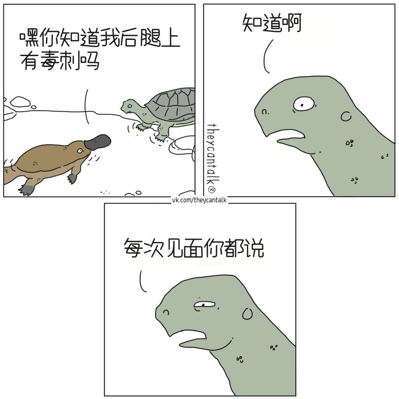 禿道道🐟 tweet media