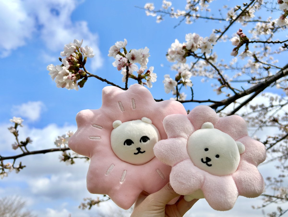 のびしろ(低浮上) tweet media