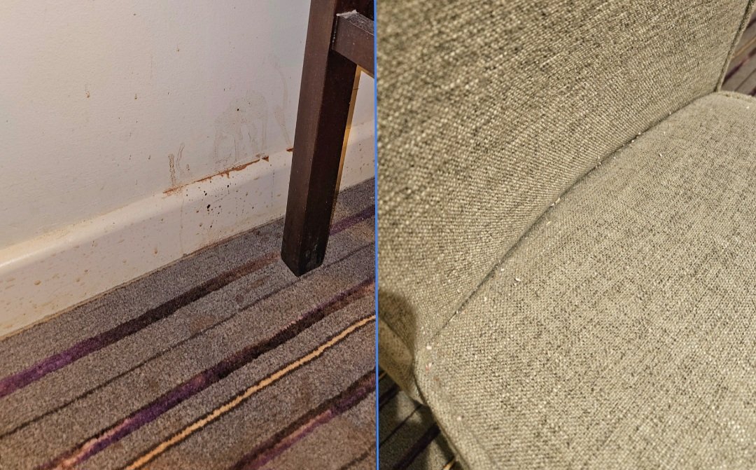 BelieveTheTruth 🇪🇺 tweet media