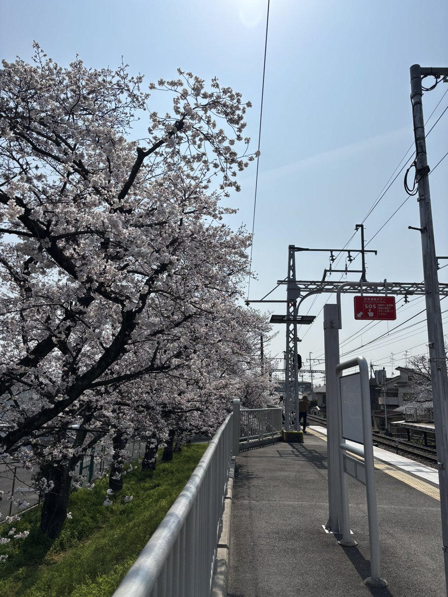 藻ト_motokicks tweet media