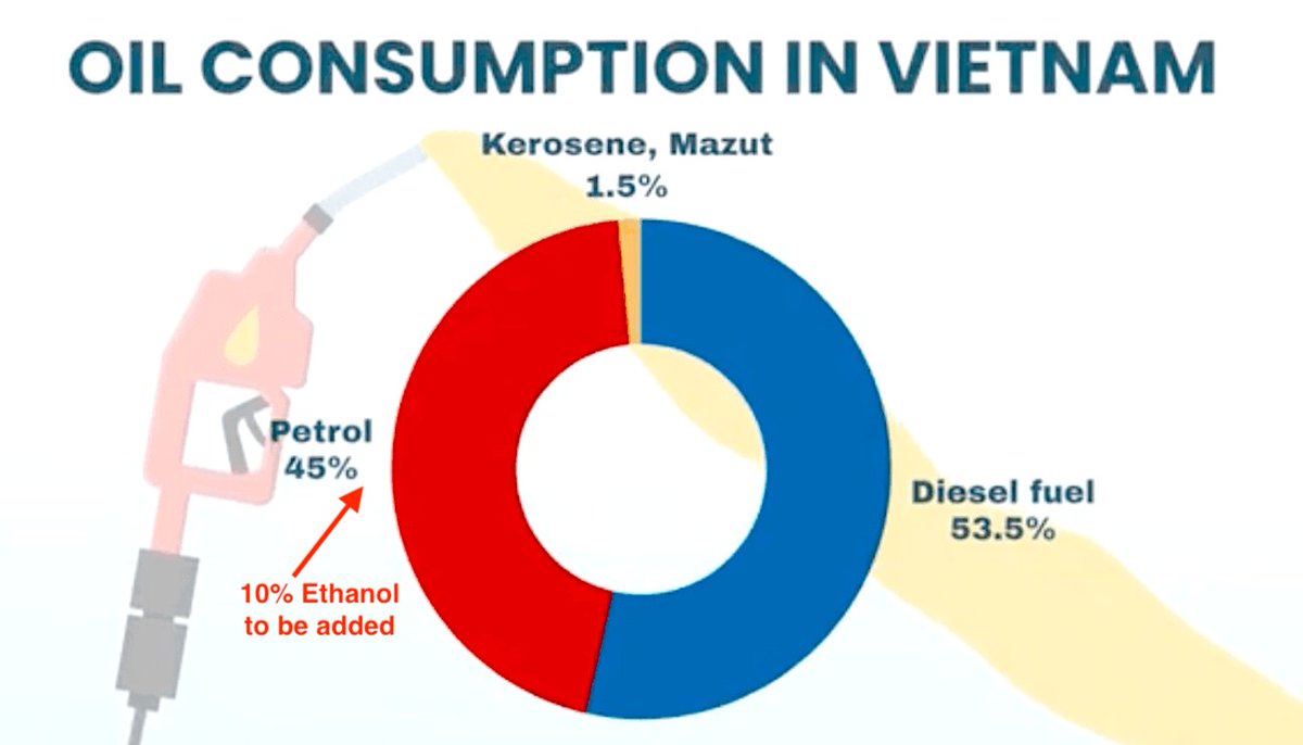 Da Nang Expat tweet media