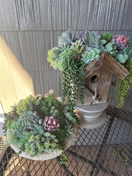 cozy finds tweet media