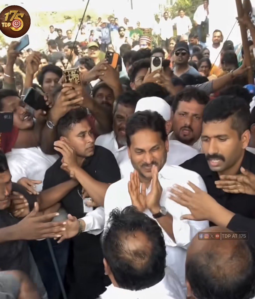 castepichi tweet media