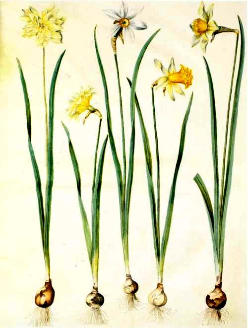 Jean-Marc Bèche tweet media