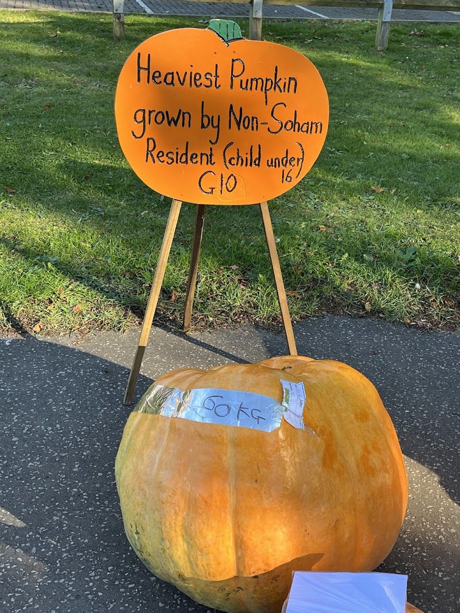 lingosia's tweet image. Soham Pumpkin Fair @pmj_photos #PMJWeeklyChallenge  #scale