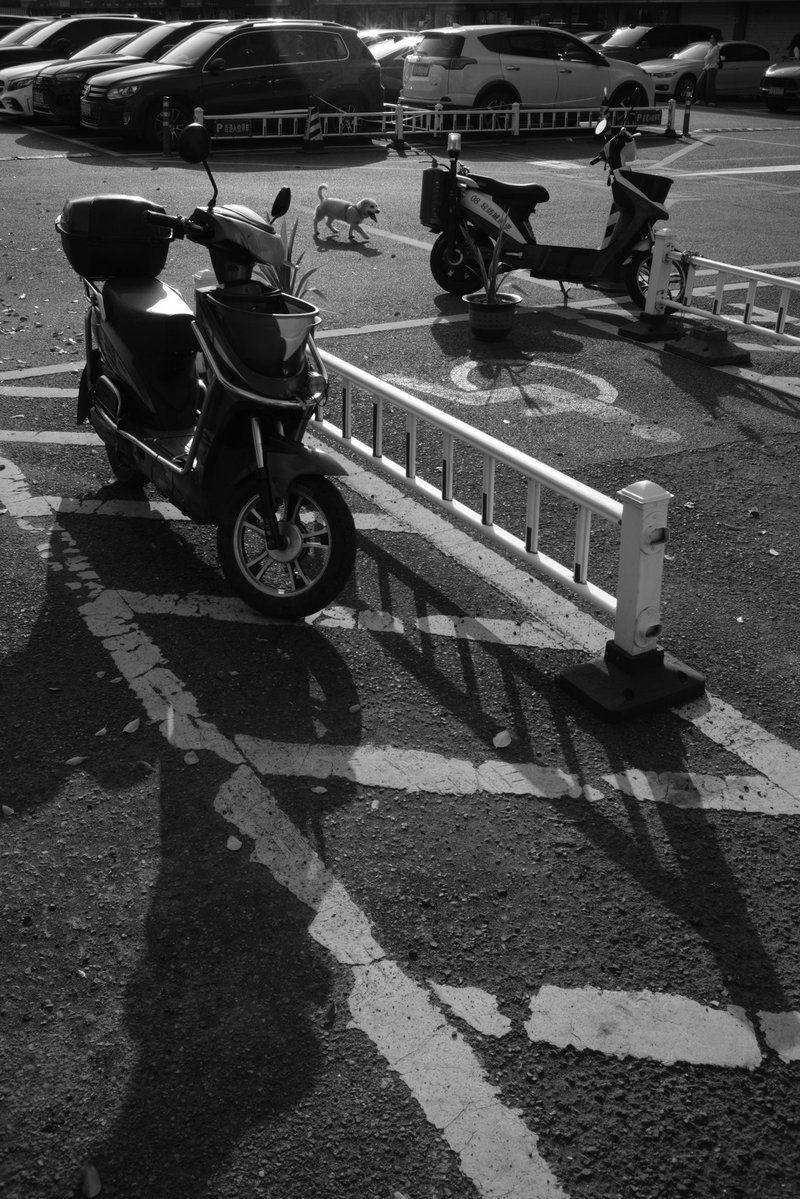 Creebit「苦力兔」🏳️‍⚧️ tweet media