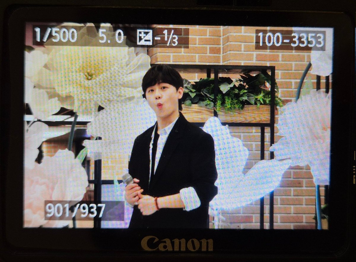 레오/ 🐎29밤 tweet media