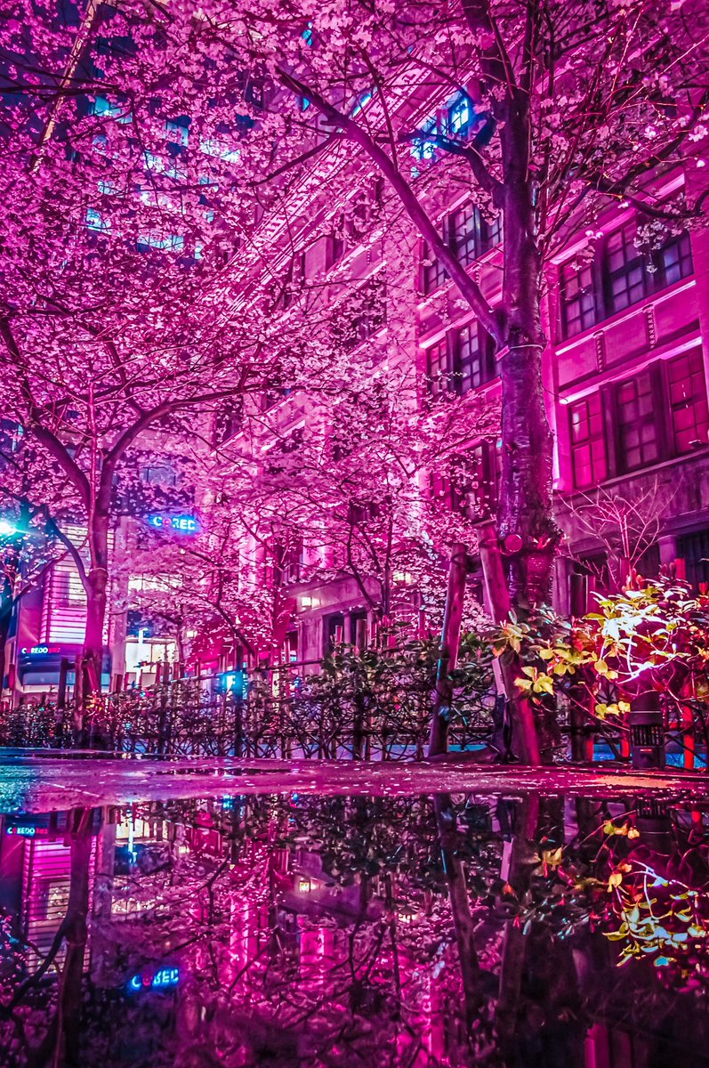 埼@Photographer tweet media