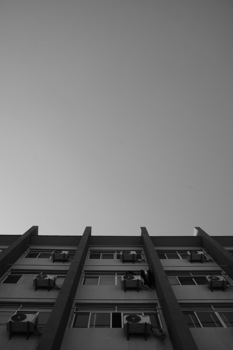 Creebit「苦力兔」🏳️‍⚧️ tweet media